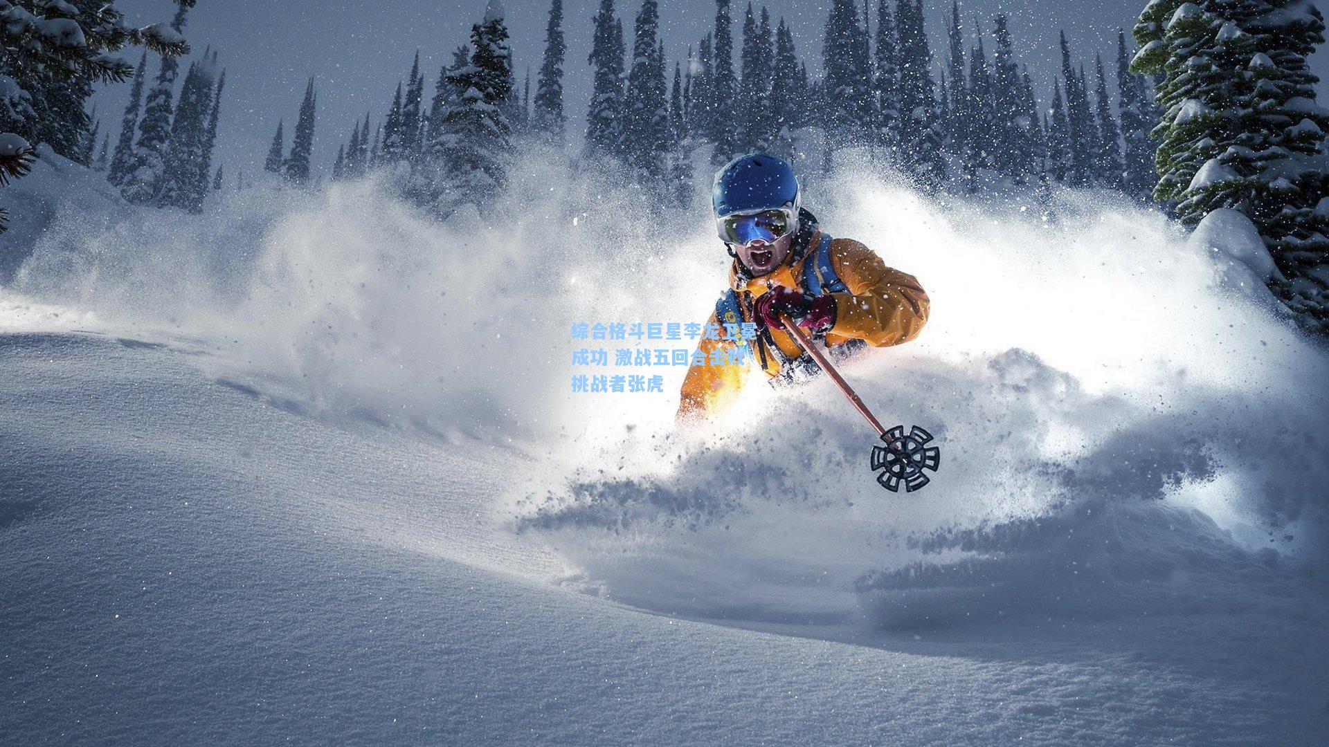 综合格斗巨星李龙卫冕成功 激战五回合击败挑战者张虎